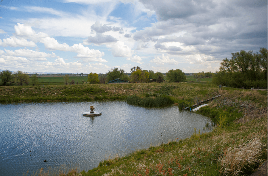 A pond with a small platform in the center surrounded by tall grasses and trees. The sky is cloudy with patches of blue.